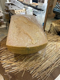 Parmesan